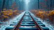 Railway tracks in the foggy forest. Winter landscape. Nature background