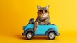 Funny cat with sunglasses in toy car on yellow background