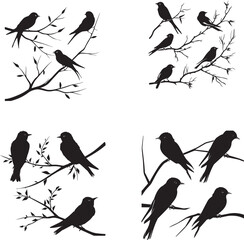 Wall Mural - Set of Swallow on branch black silhouette on white background  