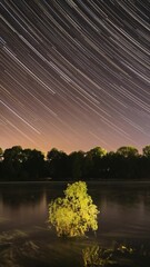 Wall Mural - Timelapse Night Sky Above River. Star Trails On Night Sky Background. Star Lvertical es Move In Sky. Night Sky Turns Into Mornvertical g. Amazvertical g Starry Effects. From Dusk To Dawn. Dawn Is