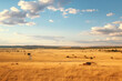Serengeti national park landscape tanzania africa