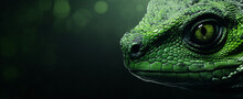 Abstract Green Web Banner With Reptile