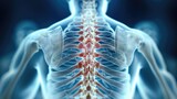 Fototapeta  - MRI image sacral spine and neurological hammer, Medical concept for Neurology. Generative AI.