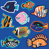 Fototapeta  - Sticker set of beautiful tropical fishes, exotic sea wildlife in vector