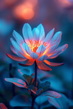 Fototapeta Kwiaty - A flower whose petals transition from electric blue to a vibrant orange, defying natural color schemes,