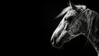 Photo of horse, black and white minimal abstract style