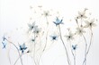 Exquisite delicate wildflowers with thin graceful lines on clean white background