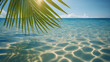 palm leaf isolated on sunny blue rippled water surface, summer beach holidays background concept with copy space