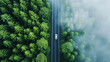 Aerial view of car driving on asphalt highway road in green forest. Mysterious fog. Travel concept. Generative AI