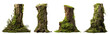 © Yeti Studio - Set of moss-covered old tree stumps, cut out