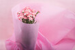 ピンクの背景のピンクの縁取りの白いカーネーションの花束