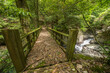 森の中の渓谷にかかる木の橋