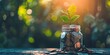 © Thares2020 - Growth concept with coins and plant symbolizing invest finance business money tree showing economy financial banking success leaf profit savings green nature in jar for retirement income economic