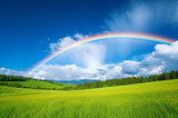 Fototapeta Tęcza - 雨上がりの空に架かる大きな虹
