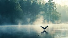 Spring Landscape With Takeoff Loon (misty Morning). Bird Were Scattered On Water Of Lake In Misty Forest. Picture Has Artistic Value, Fine Art Photography. Art Style Of Photo
