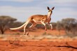 Iconic Australian Marsupial: Red Kangaroo in Mid-Air