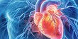echocardiographic images of heart structures and functions