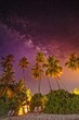 Inspirational beautiful nature view. Starry night sky against with coconut palm tree and romantic evening twilight sky. Night shot with palm trees and milky way in background, tropical warm night