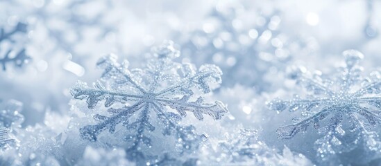 Canvas Print - Snowflakes stand out on a white background, capturing attention during the holidays.