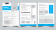 © Mdobayes - Project Fact Sheet Nonprofit Organization layout design template with 3 style design concept