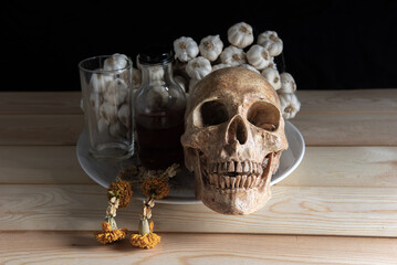 Wall Mural - skulls , decorative dried herbs and a skeletal head, perfect for Halloween or medical-themed design