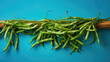 Bush bean vegetable photo color background