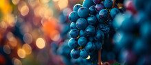 Sun-kissed grapes cling to the vine, their rich hues dancing amidst a bokeh of harvest's vibrant colors