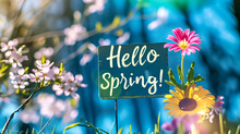 Floral Springtime Welcome Sign With Text "Hello Spring", Springtime Background. Cheerful Spring Announcement. Spring Greeting
