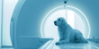 Dog Awaiting MRI Scan in Modern Veterinary Clinic. Puppy sits patiently on the examination table of veterinary clinic with MRI equipment in the background.