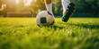 © SnowElf - Football Player in Action on a Sunny Day. Close-up of a classic soccer ball on a lush green field with a player's foot in motion, sunlight background, copy space.