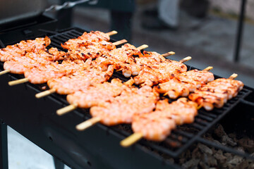 Grilled shrimps for outdoors grill picnic