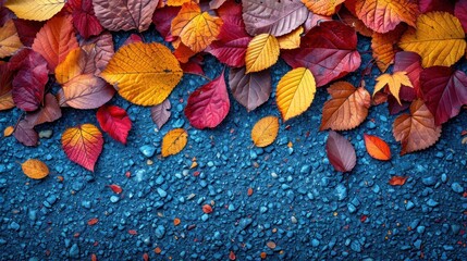 Canvas Print -  a group of colorful leaves laying on top of a blue ground with drops of water on the bottom of the leaves and the bottom of the leaves on the ground.