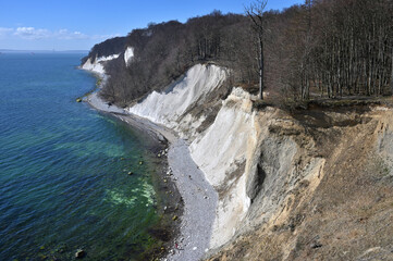 Wall Mural - Famous white cliffs in Jasmund National Park