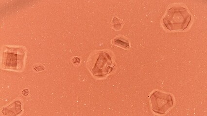 Poster - growth of chemical crystals from a saturated timelapse solution.