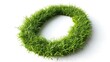© Alena Bekas - Green grass number 0 isolated on white background. 3D grass digits for eco banner, poster, cover, logo design template element. Symbolizing nature and environmental conservation.
