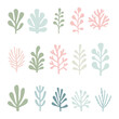 Set of pastel vector algae, perfect for decor and design. pastel colors, white background