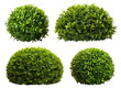 Set of green garden bushes, cut out