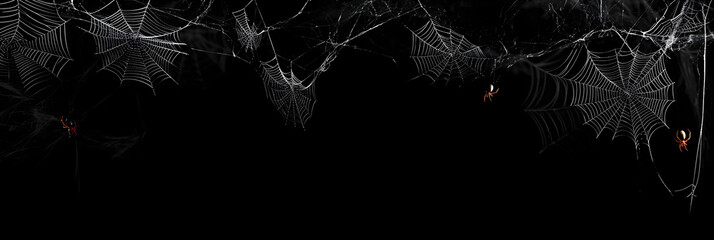 Wall Mural - Real creepy spider webs hanging on black banner