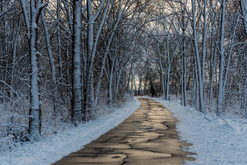 Wall Mural - Beautiful Snow Covered Trees Along The Fox River Trail After A Large January Snowstorm in De Pere, Wisconsin