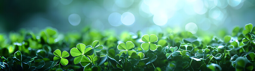 happy new year banner with four-leaf clover as a lucky charm on blurred background	