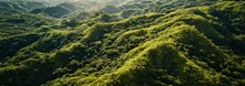 A Bird's-eye View Of A Mountain Forest With Rolling Hills Covered In Dense Greenery. The Image Highlights The Undulating Terrain