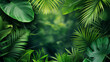 Tropical forest background, jungle background with border made of tropical leaves with empty space in center, copy space.