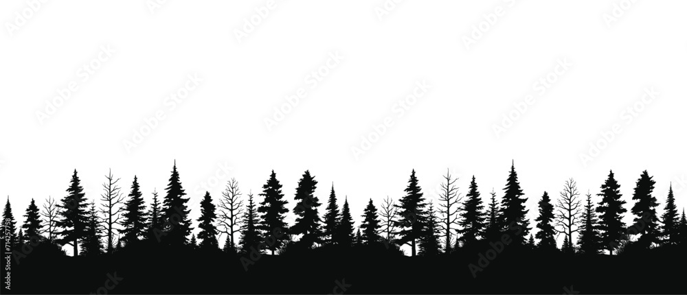 Hand drawn pine forest vector illustration isolated on white background ...