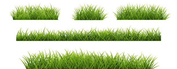 Wall Mural - Grass Border Set And Isolated White Background