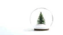 A Snow Globe With A Small Green Tree Inside