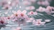 a group of pink flowers floating on top of a body of water