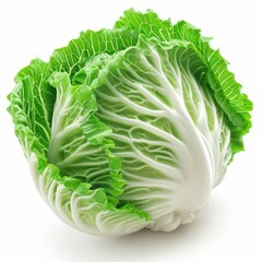 Wall Mural - fresh cabbage isolated on white