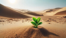 Small, Vibrant Green Plant Growing In A Vast, Hot Desert
