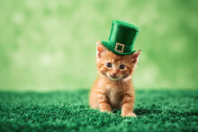 Cute Cat With Green Hat And Costume Celebrating Saint Patrick's Day. Saint Patrick Day Card With Green Background