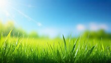 Sunny Spring Meadow Blur Background Blue Sky To Green Grass Gradient